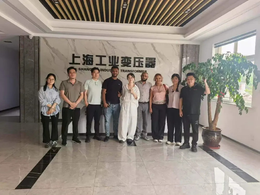 Sambutan Hangat! Delegasi Ethiopia Mengunjungi Shanghai Industrial Transformer Co., Ltd. untuk Pertukaran Peralatan Transformer & Distribusi Tenaga